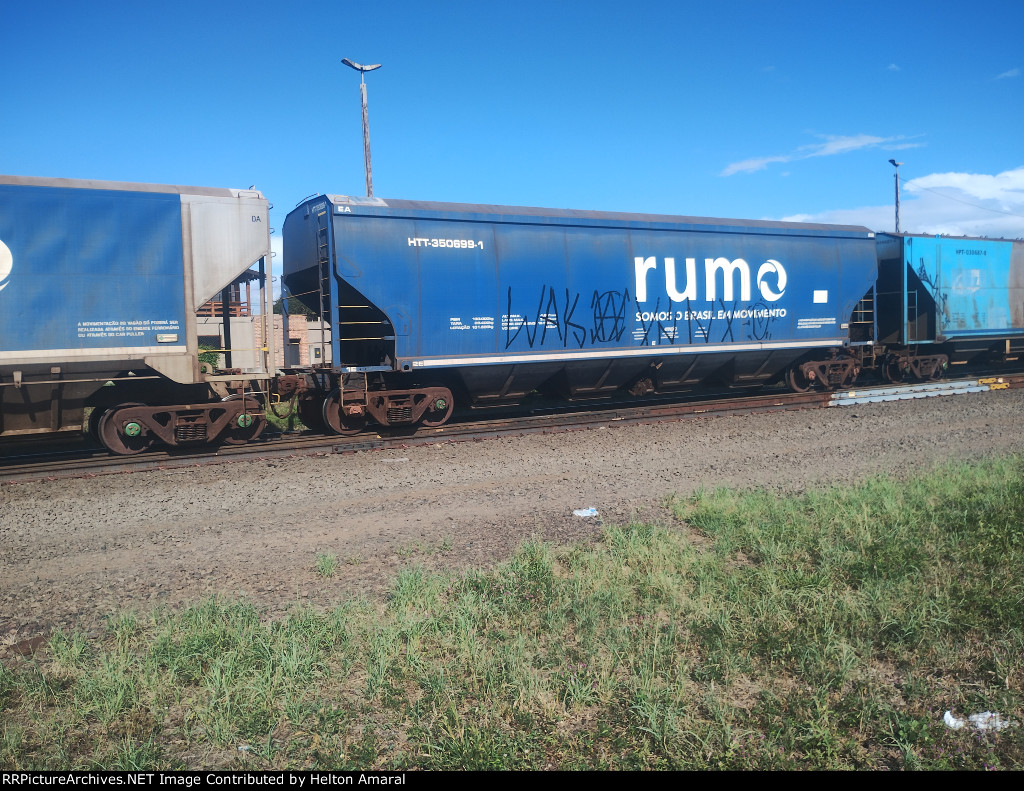 RUMO HTT-350699-1